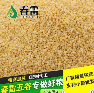 劃算的熟小米供應，盡在東旭糧油調味品——品質與價值的完美平衡